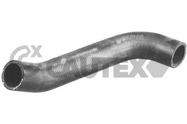 466029 Cautex