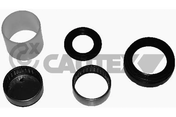 031437 Cautex