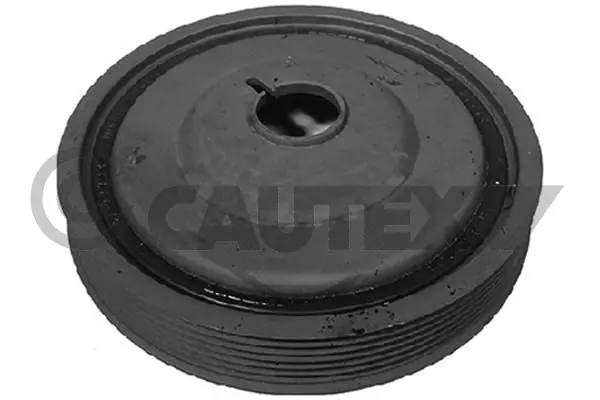 Polea, cigüeñal Nissan Micra K12