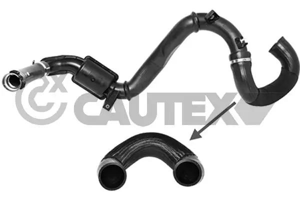 753073 Cautex