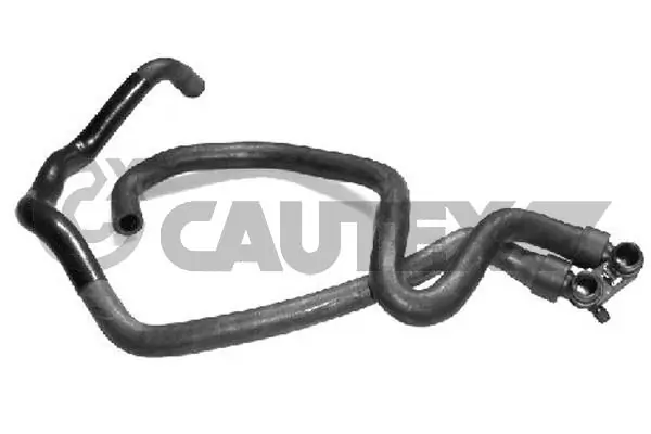 036060 Cautex