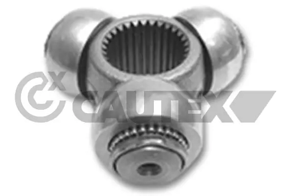 020704 Cautex