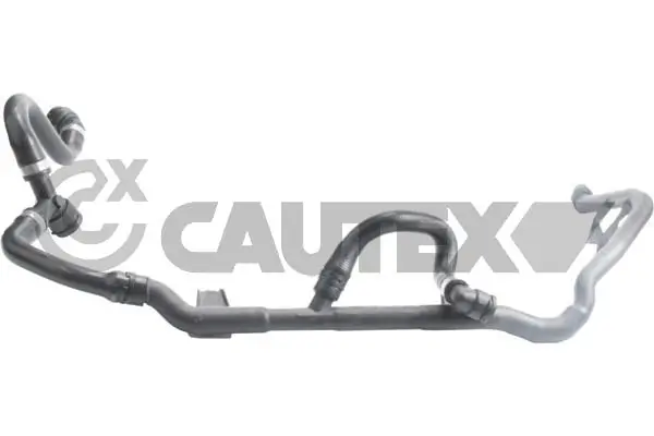 765541 Cautex