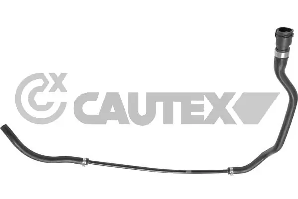 754368 Cautex