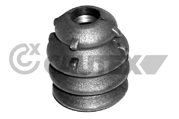 081022 Cautex
