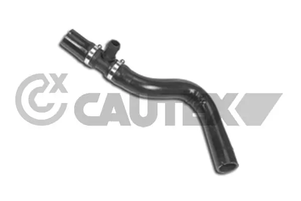 011342 Cautex