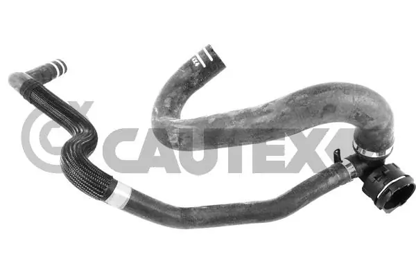 753895 Cautex