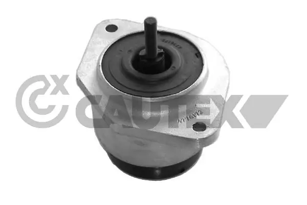 011036 Cautex