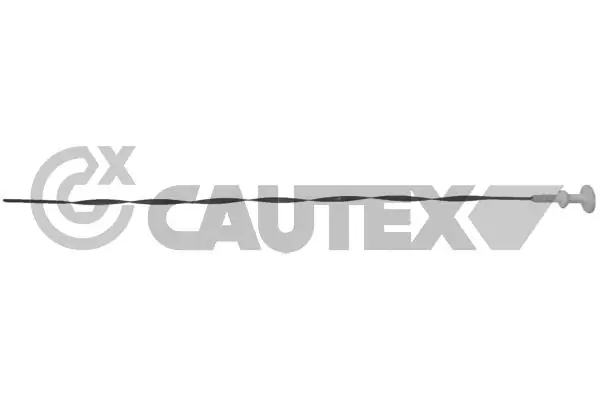 031288 Cautex