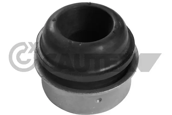 482511 Cautex