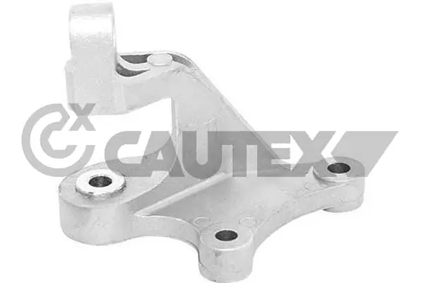 755907 Cautex