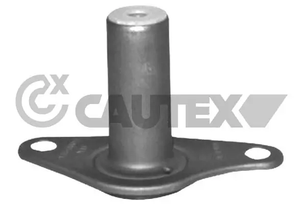 021330 Cautex
