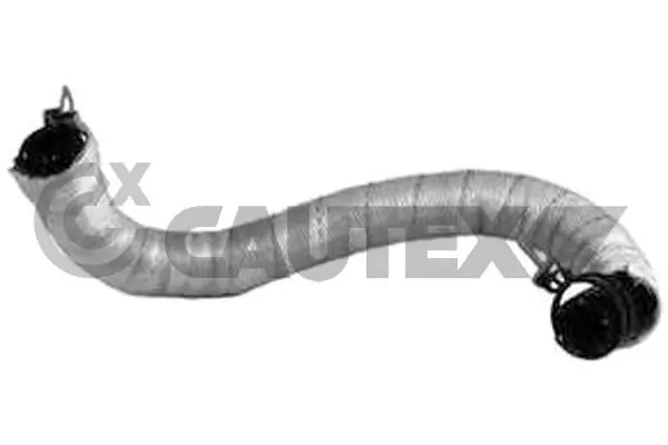 754328 Cautex