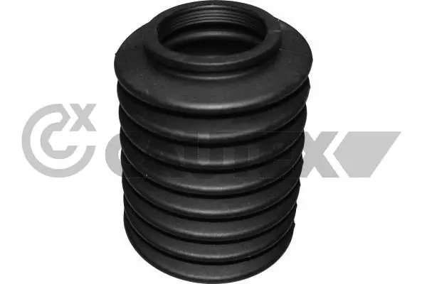 030262 Cautex