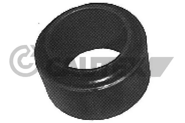 020393 Cautex