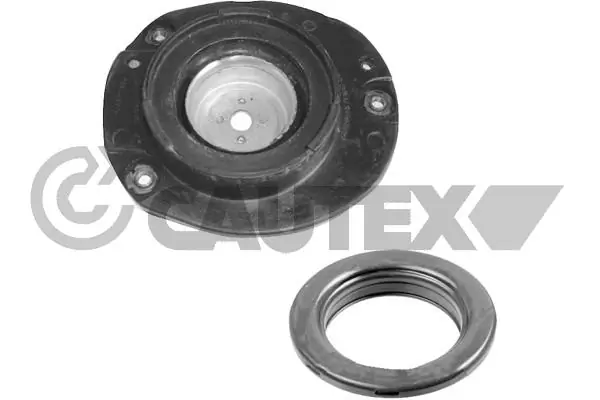 031479 Cautex