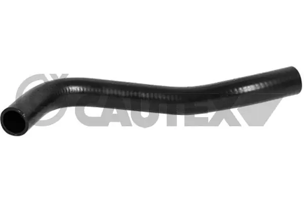 706015 Cautex