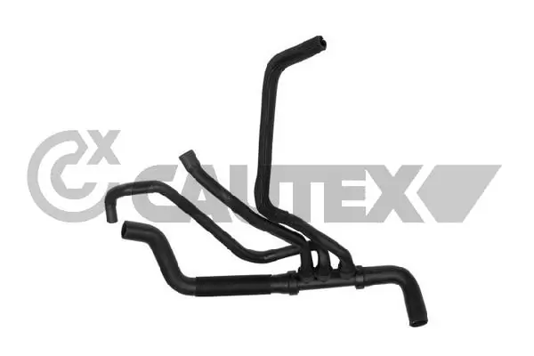 481213 Cautex