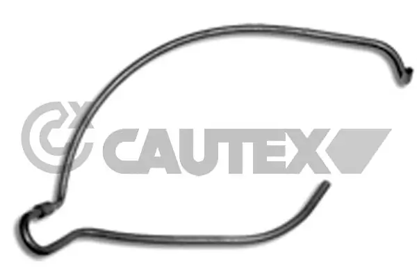 031145 Cautex