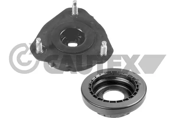 081239 Cautex