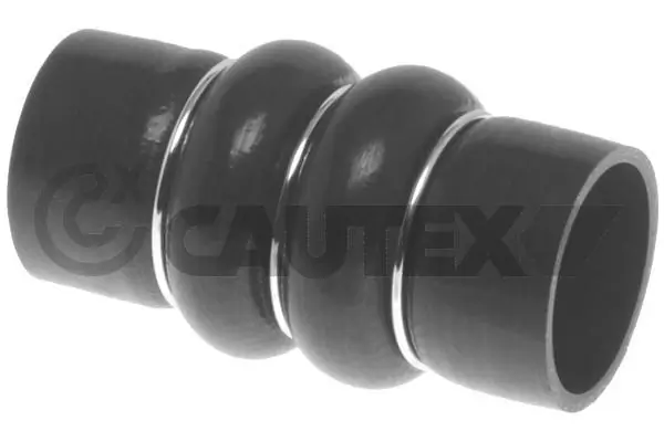 086775 Cautex