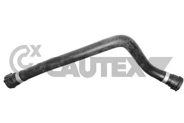 754120 Cautex