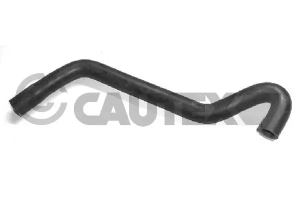 026539 Cautex