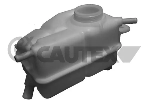 Vaso de expansión refrigerante Chevrolet Aveo  (T200)