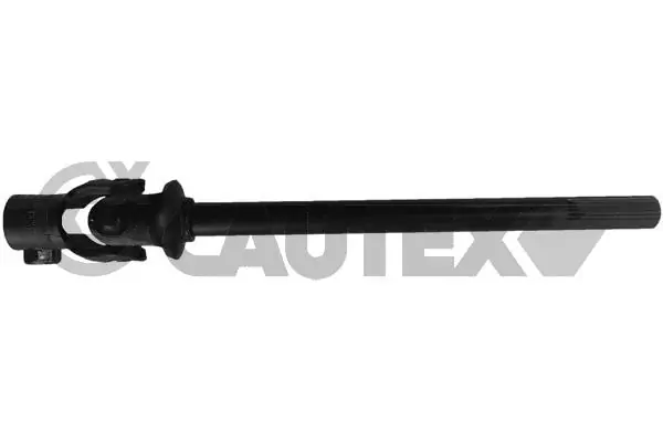 751112 Cautex