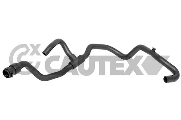 026826 Cautex