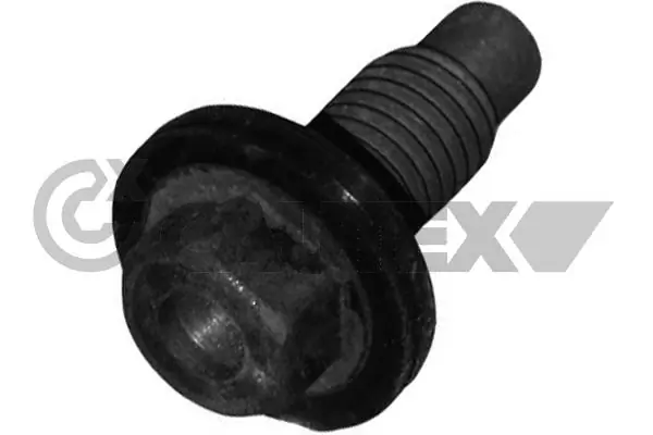 081013 Cautex