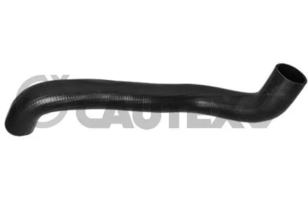 036805 Cautex