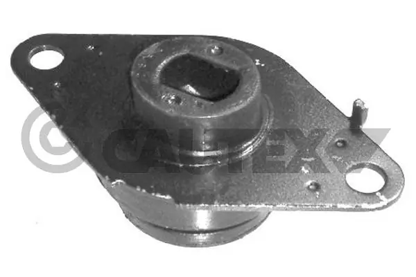 020164 Cautex