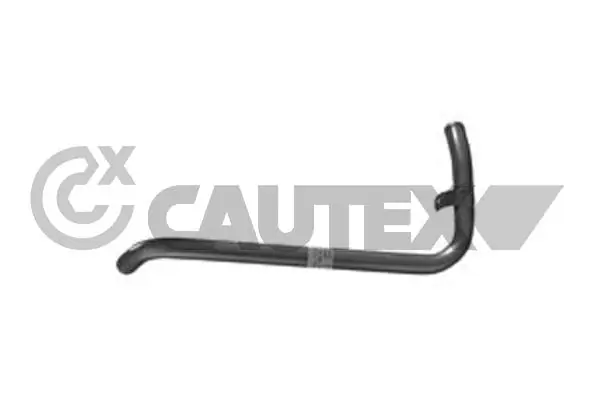 955079 Cautex
