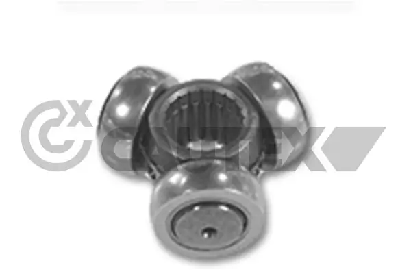 010955 Cautex