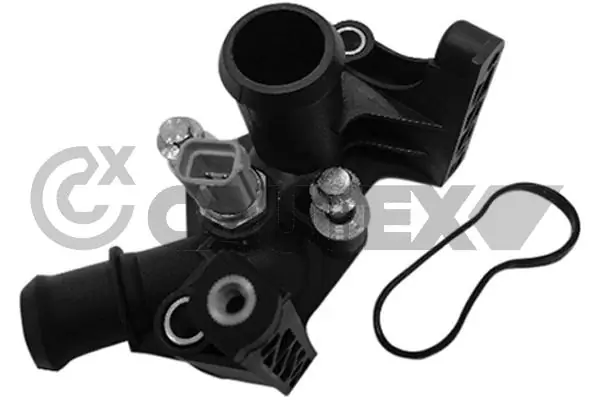 955360 Cautex
