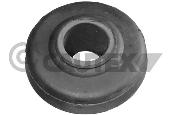 080065 Cautex
