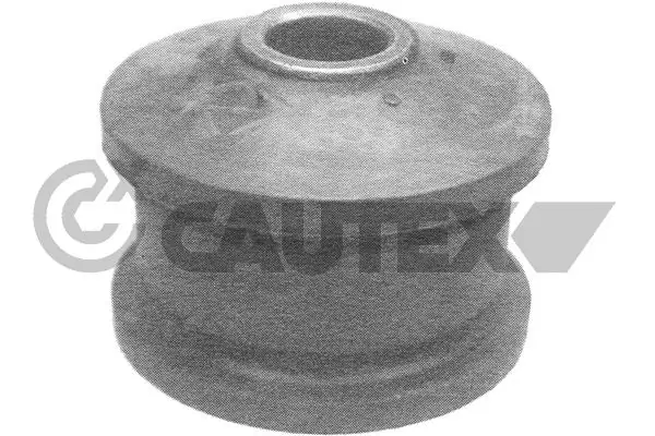 080926 Cautex