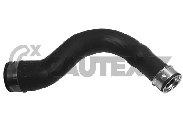 753034 Cautex