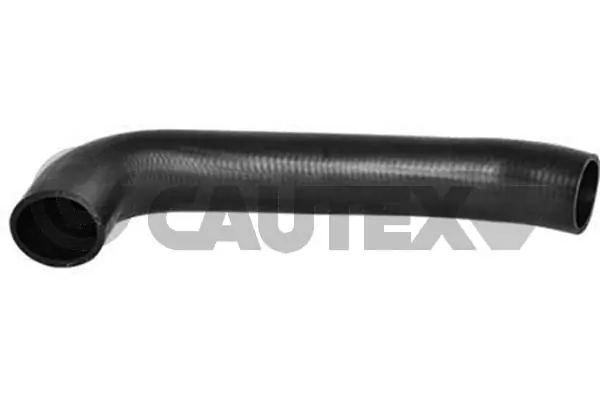 752964 Cautex