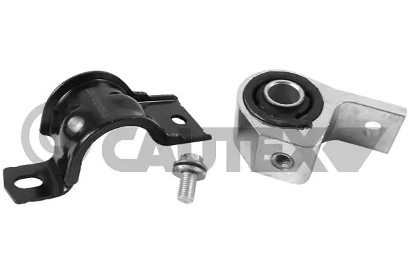 031675 Cautex