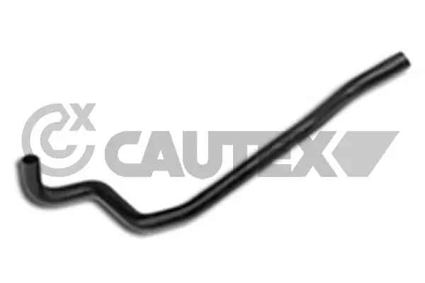 021196 Cautex