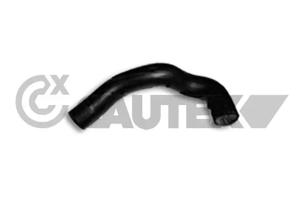 186036 Cautex