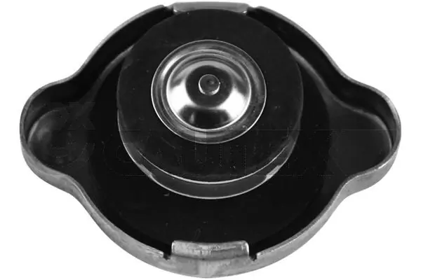 Tapa radiador para Nissan JUKE F15