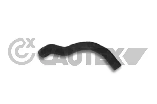 186053 Cautex