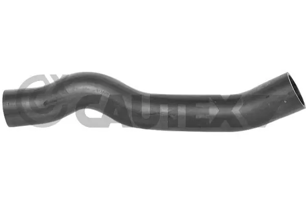 754516 Cautex