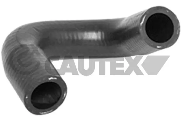031342 Cautex