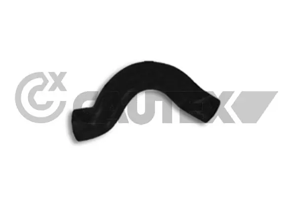 186035 Cautex