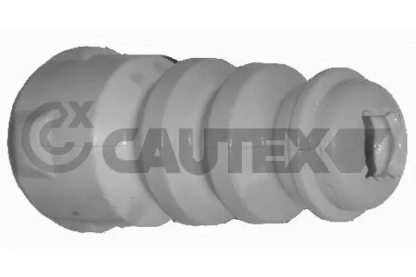 462456 Cautex