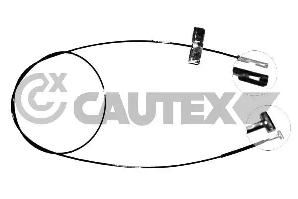 069101 Cautex